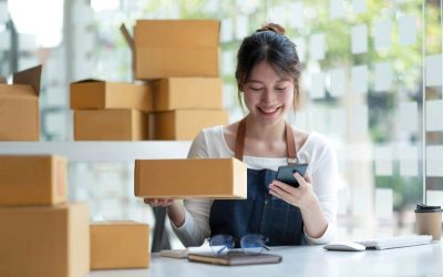Edwin Casanova CPA PC’s Playbook to Choosing the Right Entity Type For Business Success